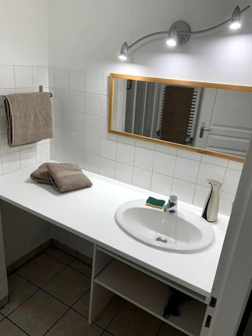 Appartement Cosy Lons - Montmorot エクステリア 写真